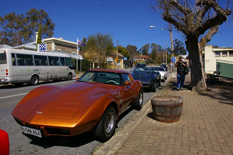 IMGP1974