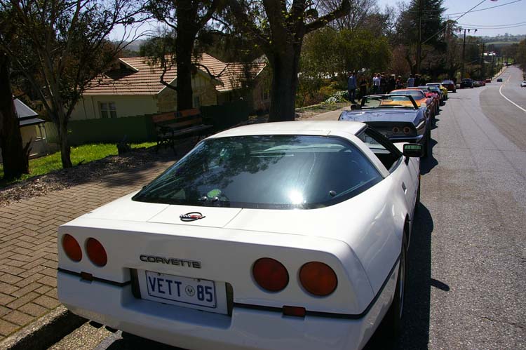 IMGP1978