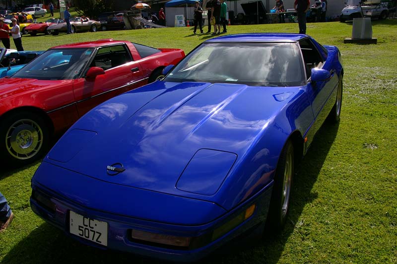 IMGP8156