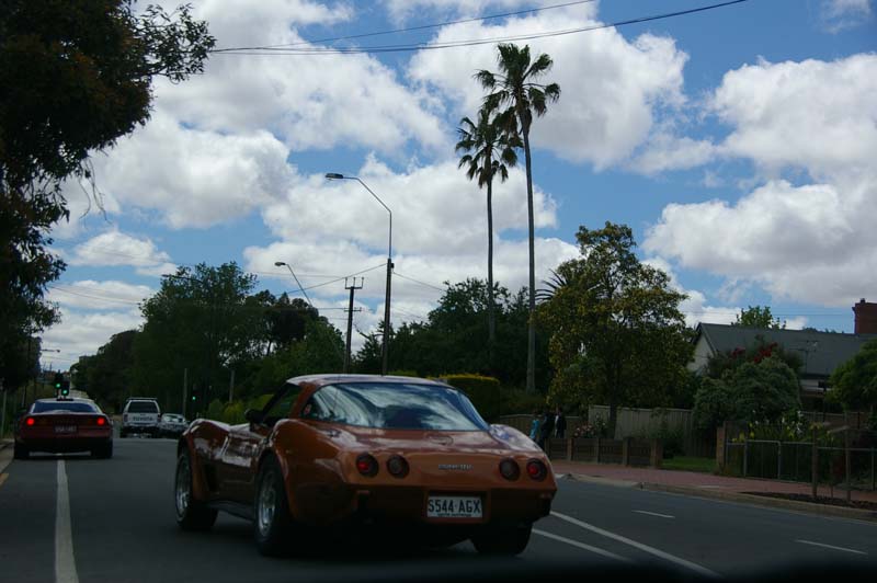 IMGP9185