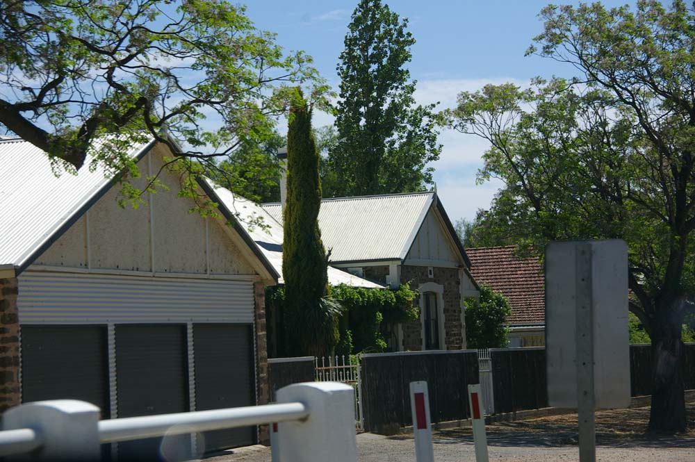 IMGP1740