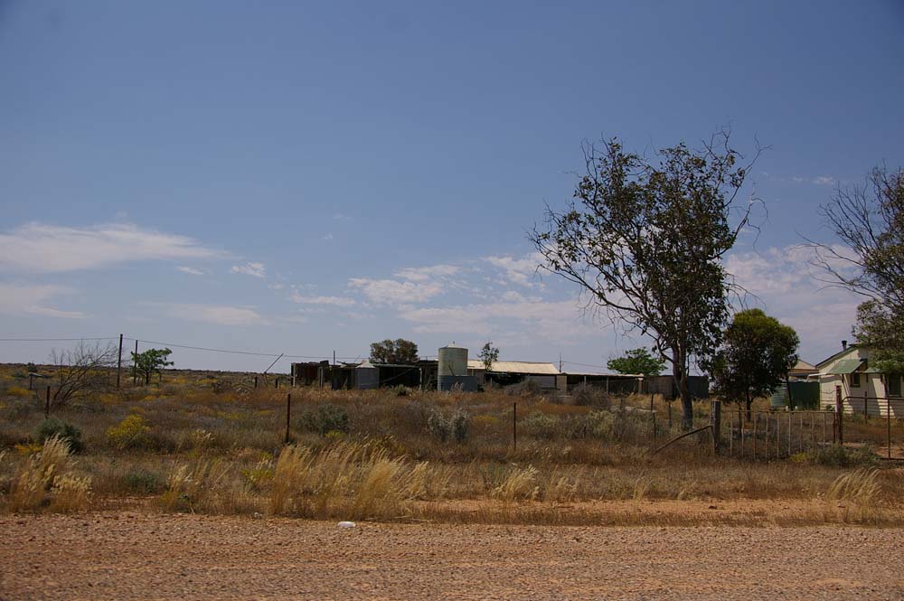 IMGP1796