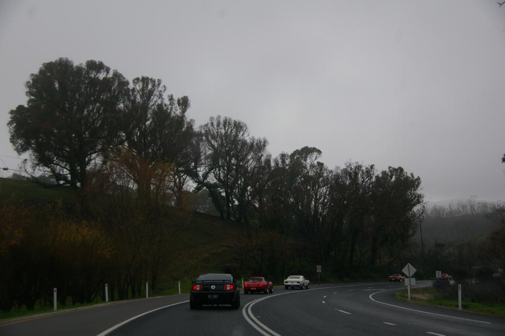IMGP4619