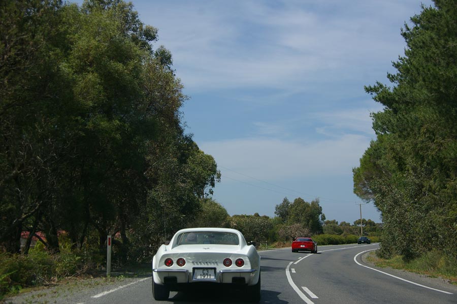 IMGP1568