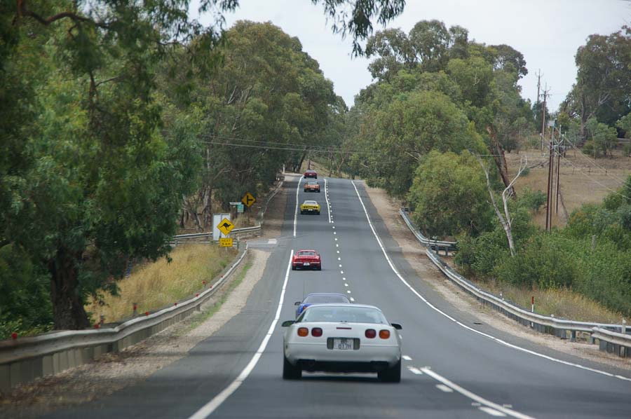 IMGP3549