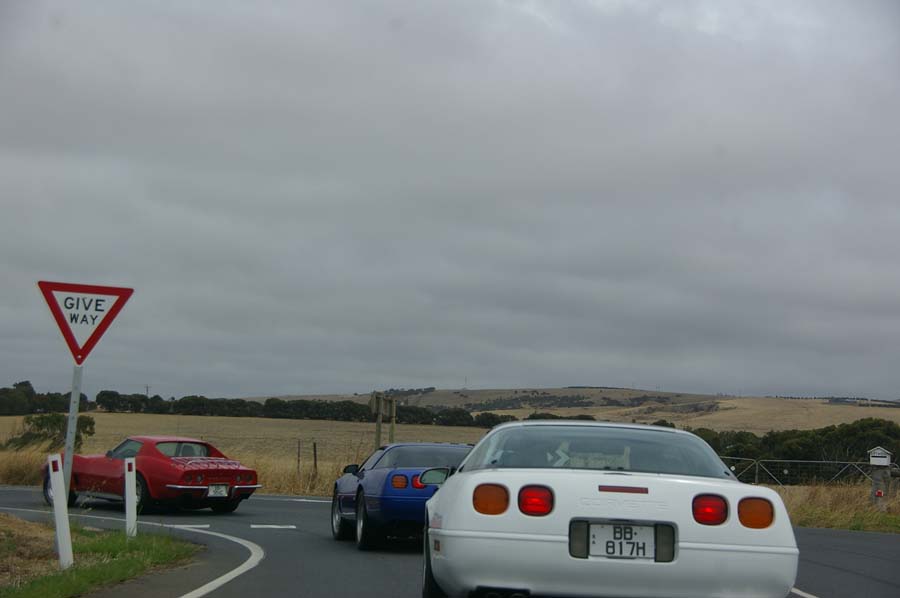 IMGP3563