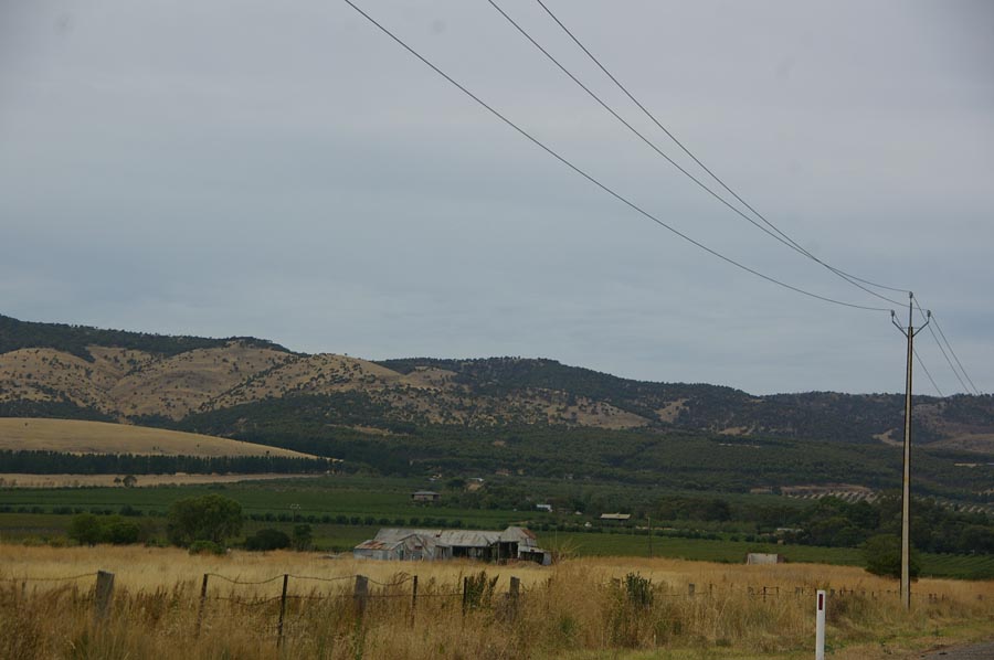 IMGP2031