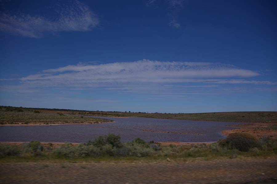 IMGP3138