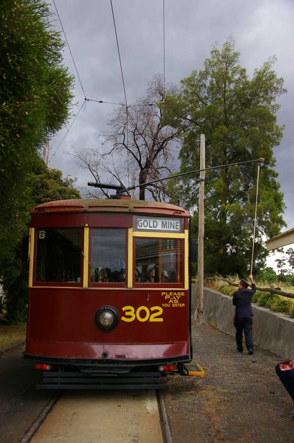 IMGP5985