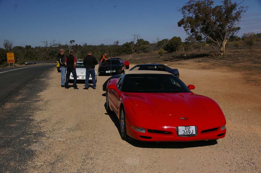 IMGP8350